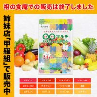【おまけキャンペーン開催中～！！】1,000円ぽっきり！マルチビタミン＋マルチミネラル＋植物性乳酸菌3種＋ビフィズス菌5種（約1ヶ月分） 