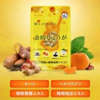 【おまけキャンペーン開催中～！！】1,000円ぽっきり！金時しょうが サプリ 約1ヵ月分 送料無料 サプリメント ダイエット 寒さ 冷房 クーラー 燃焼系 パウダー しょうが 粉末 生姜 ショウガ ジンジャー ヒハツ ヘスペリジン 133種類の植物酵素配合