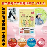 【おまけキャンペーン開催中～！！】どうかお助けください【見切り品★75%OFF：賞味期限 9月30日】　プロテオグリカン 2型コラーゲン 配合 サプリ 約1ヵ月分 北海道産の天然鮭を使用 グルコサミン コンドロイチン イミダゾールジペプチド 軟骨成分 鮭軟骨 サケ軟骨