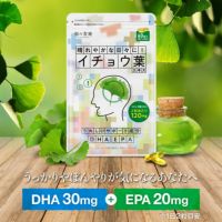 【おまけキャンペーン開催中～！！】1,000円ぽっきり！イチョウ葉 サプリ 約1ヵ月分 送料無料 DHA EPA ビタミンE イチョウの葉 いちょう葉