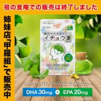 【おまけキャンペーン開催中～！！】1,000円ぽっきり！イチョウ葉 サプリ 約1ヵ月分 送料無料 DHA EPA ビタミンE イチョウの葉 いちょう葉