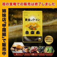 【おまけキャンペーン開催中～！！】違いが分かる黄金配合 ウコン サプリ 約1ヶ月分 送料無料 お酒 サプリ サプリメント うこん 秋ウコン 飲み会 酒 クルクミン 肝臓エキス オルニチン システイン