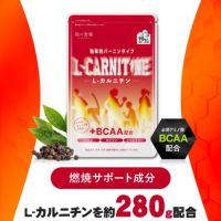 燃焼系サポートサプリ L-カルニチン＋BCAA配合！ 30日分 メール便 送料無料