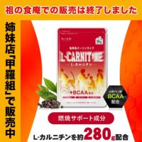 【おまけキャンペーン開催中～！！】1,000円ぽっきり！燃焼系サポートサプリ L-カルニチン＋BCAA配合！ 30日分 メール便 送料無料