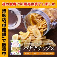 フィリピン産 バナナチップ500g ドライフルーツ バナナチップス ドライバナナ 乾燥バナナ