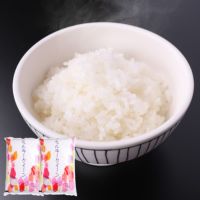 4月以降発送 令和6年産 新米 米10kg 福井県産 ミルキークイーン 10kg（5kg×2袋） 産地直送 産直 一等米 送料無料 国産国消 精米 もっちり 甘い お弁当 おにぎり