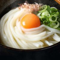 本場のさぬきうどん9食（300g×3袋）個包装　讃岐