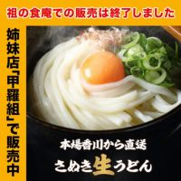 本場のさぬきうどん9食（300g×3袋）個包装　讃岐
