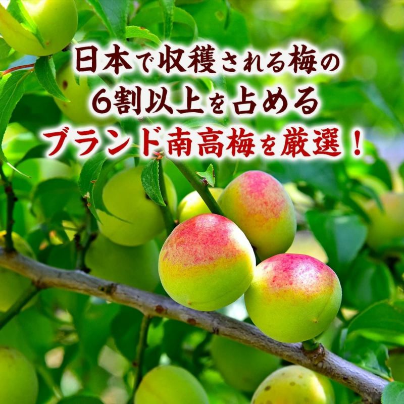 味が選べる♪【訳あり】紀州 南高梅 梅干し1kg しそ漬/はちみつ